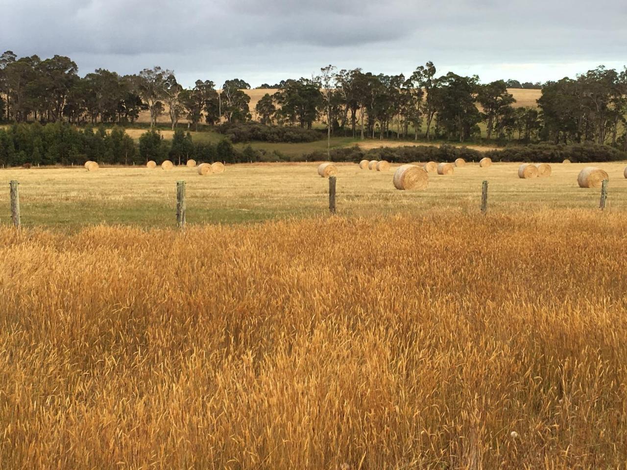 Margaret River Farmhouse Rosa Glen Dış mekan fotoğraf